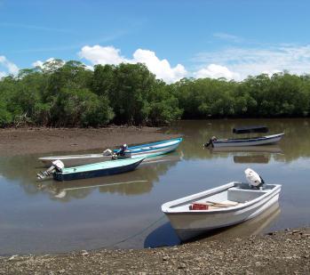 Tag: Insel Chira im Golf von Nicoya Aufforstung - Projekt Damas de Chira artenreiche Mangrovenwälder - Halbinsel Nicoya - Waldreservat Monte Alto Frühmorgens fahren wir zum Golf von Nicoya und