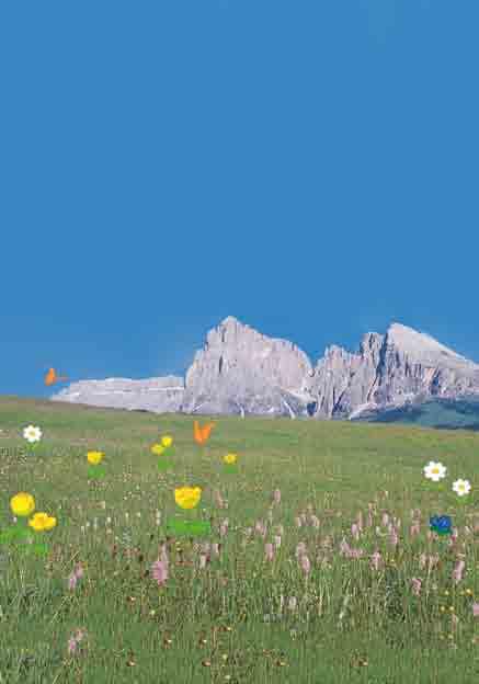 Südtiroler Milch und Milchprodukte Mit Dolomilla