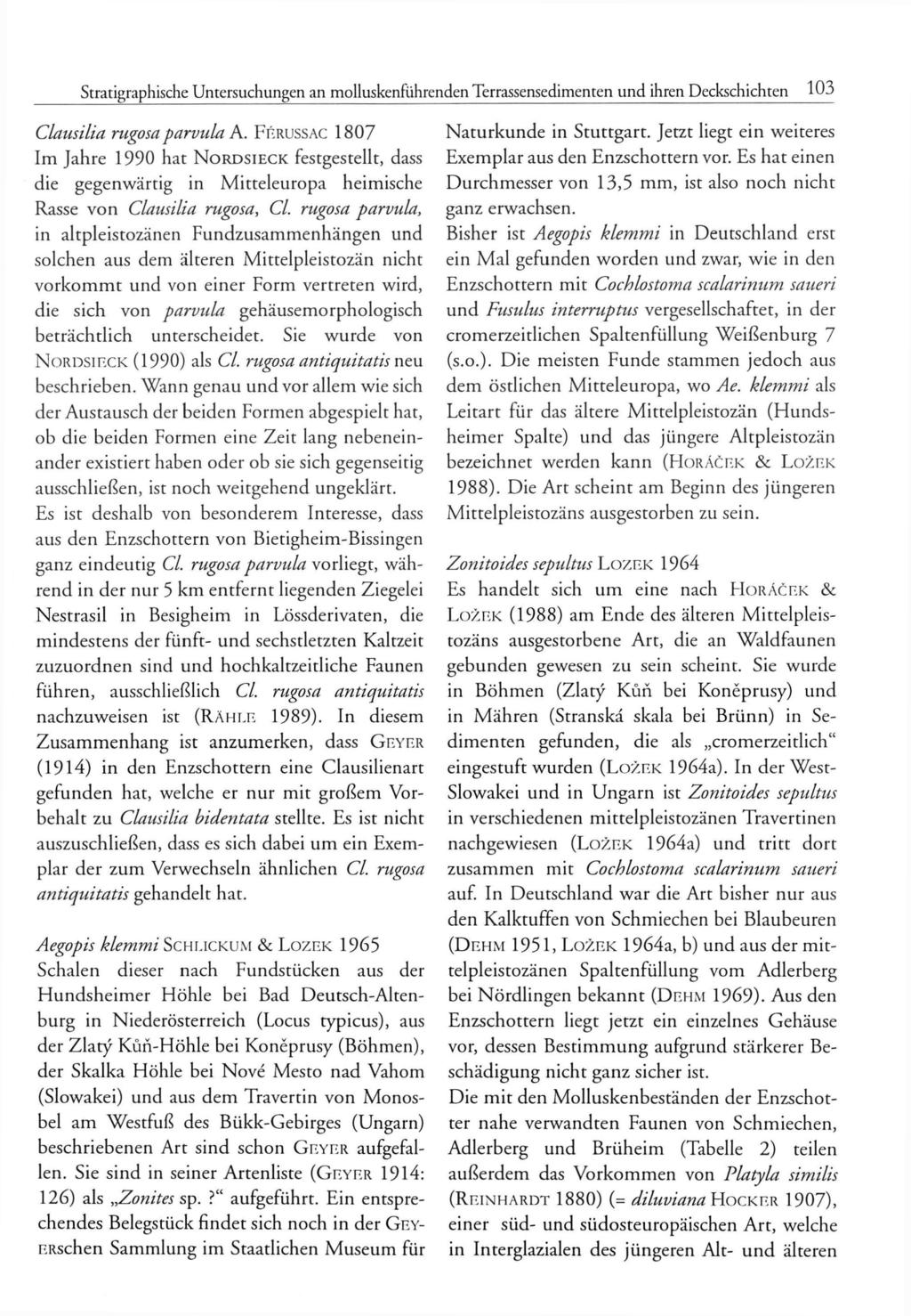 Stratigraphische Untersuchungen an molluskenführenden Terrassensedimenten und ihren Deckschichten 103 Clausilia rugosaparvula A.