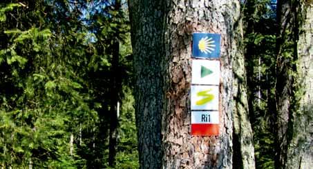 Tourismus und Naturpark Naturpark Oberer Bayerischer Wald Neumarkierung des Wanderwegenetzes Seit 2014 werden im Naturpark Oberer Bayerischer Wald die Wanderwege überarbeitet und neu markiert.
