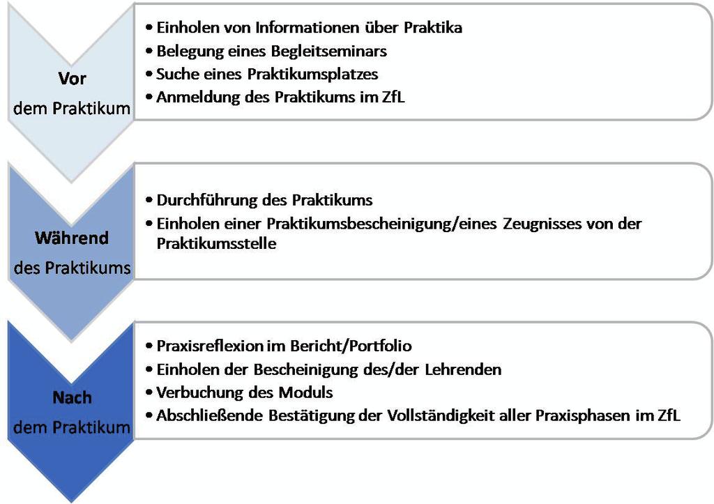 Die Schritte zur Organisation Ihres Praktikums im Überblick Für die Organisation Ihres Praktikums brauchen Sie folgende Formblätter: die Praktikumsvereinbarung für die Praktikumsanmeldung die