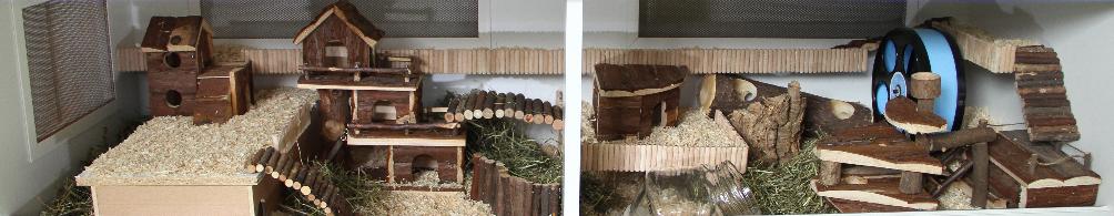 Einrichtung des Hamsterheims Folgendes Zubehör sollten jedem Hamster in seinem Heim zur Verfügung stehen: Trinkschale/ Tränke mit Wasser Körner- und frisches Grünfutter Mindestens 15 cm tiefes