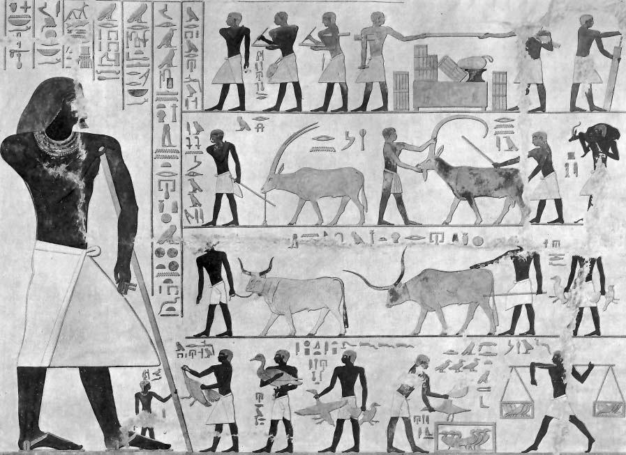 Oben: Aquarell der Westwand der Opferkammer in der Mastaba des Seschemnofer III.