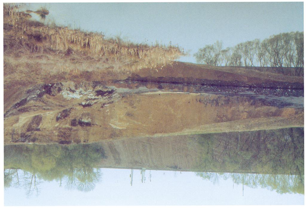 Übersicht der Tongrube Eichenberg, Situation April 1998. Unterbraunen Tonen und Sanden des Tertiär treten die blaugrauen, fossilreichen Mergelschiefer des Lias α3 an der Grubenbasis zu Tage.