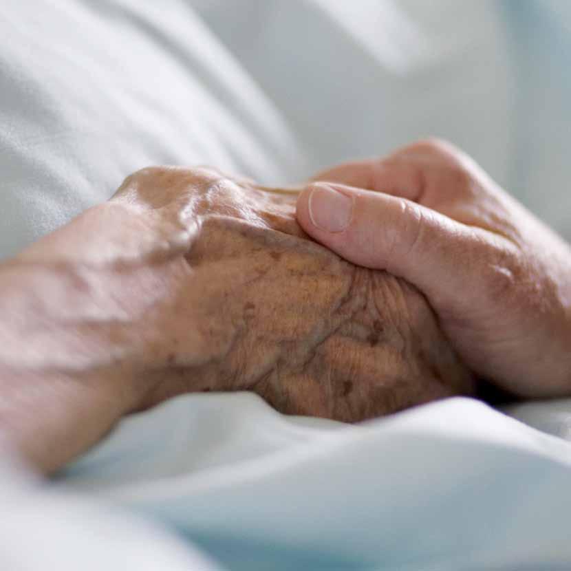 Palliative Care konzept