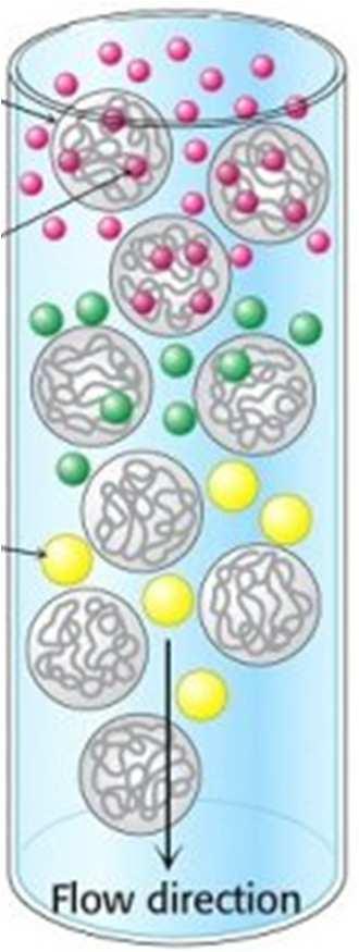 Grössenausschlusschromatographie (SEC) Trennung von Molekülen nach ihrer Grösse Stationäre Phase: poröse Materialien mit definierter Porengrösse (z.b.