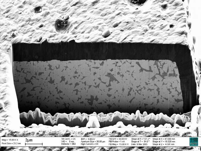 81 µm Messung Schichtdicke Schnitte