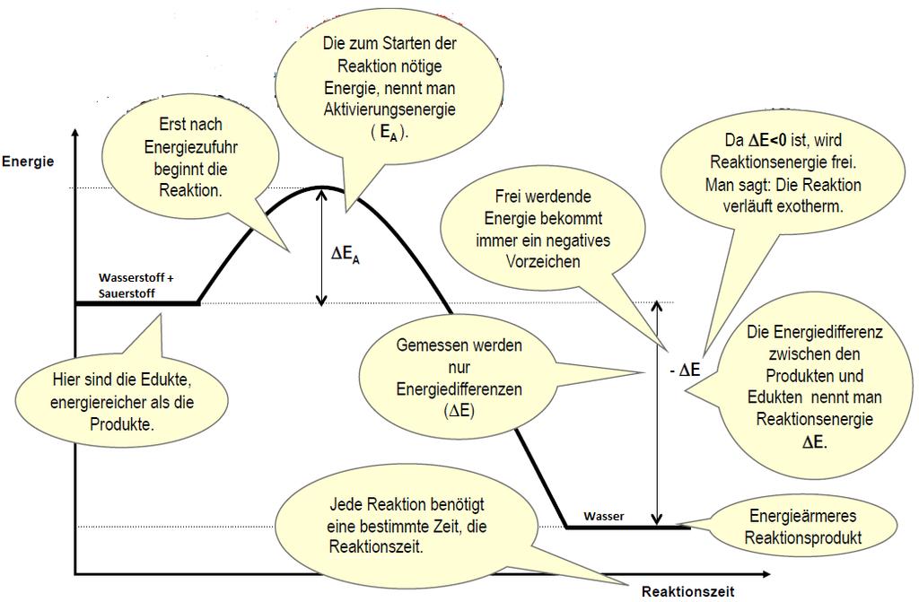 Energiediagramm C Arbeitsauftrag: Übe die Erläuterung der Prozesse in den
