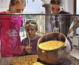 Rheinisches Landesmuseum trier Pädagogische Angebote Kinder und Jugendliche erkunden themengebunden und der Altersstufe angepasst die Ausstellung, oft ergänzt durch praktische Arbeit und Aktionen.