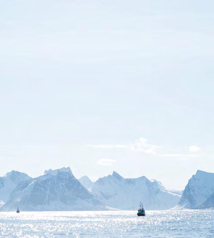 Die einzigartige Kombination aus Norwegens kaltem Klima und dem kalten, klaren Meer verleiht norwegischem Fisch seine hervorragende