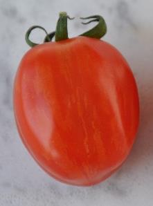 Diese Kirschtomate schmeckt sehr lecker, ausgewogen tomatig, spritzig erfrischend Rote Tomate Tomatenfest 2015 Züri ca.