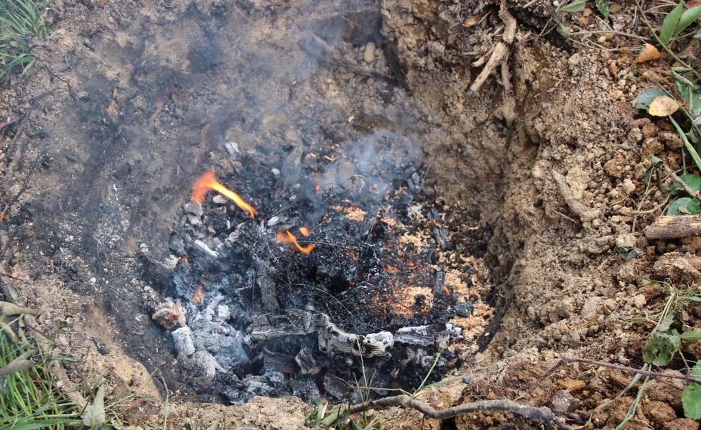 Standsanierung Verbrennen in Grube oder Müllverbrennung Die Grube