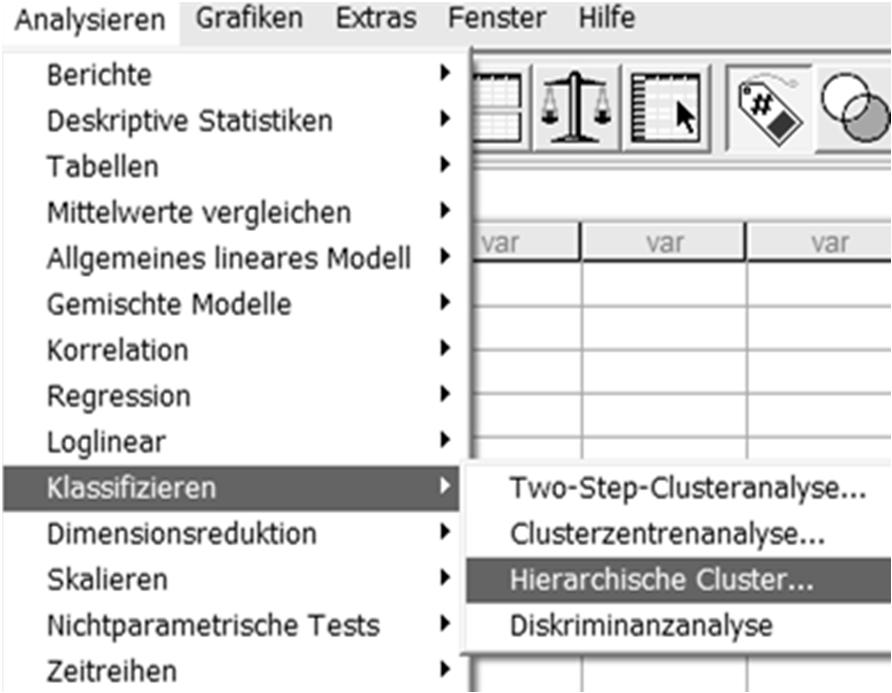 Cluster-Analyse Cluster