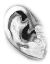 3M Gehörschutzprodukte Angenehm zu Tragen bei optimalem Schutz Unser Gehör ist ein wertvolles und empfindliches Sinnesorgan. Hören ist für die meisten Menschen selbstverständlich.