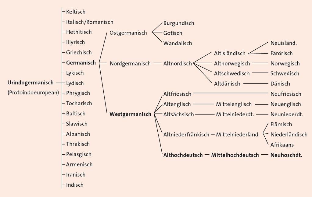 Feststellung der Verwandtschaft - ein Beispiel Als Sprachfamilie wird eine Gruppe genetisch verwandter Sprachen bezeichnet, d.h. Sprachen, die von einer gemeinsamen Vorgängersprache (Proto- oder Ursprache) abstammen.