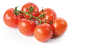 Tomate der Geschmacksbringer Konsumenten in Österreich und der Schweiz lieben Tomaten mit einem Fruchtgewicht von 130-140 g.