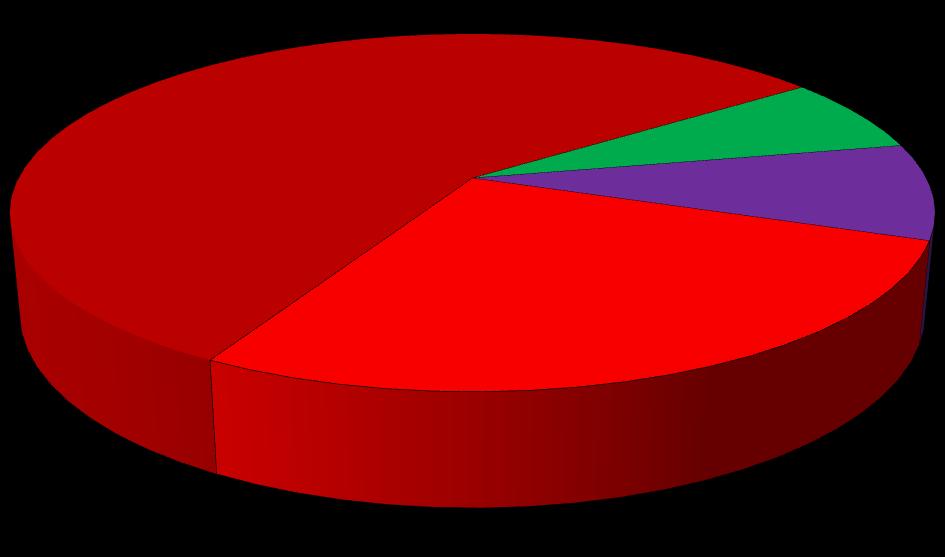 Statistik der absoluten Blattwinkel bei 277 WEA Betroffene Blätter je Rotor Anzahl der fehljustierten Blätter je Rotor bei 277 WEA (70% über 2 MW) Drei Blätter fehljustiert 57% Alle Blätter ok 7% Ein