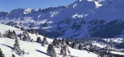 Dann ist die Langlauf-Woche von insieme Zürcher Oberland genau das Richtige für Sie.