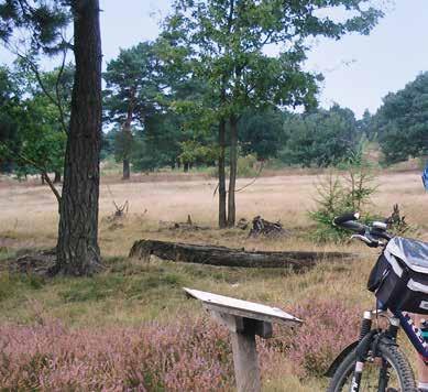 Radwandern ohne Gepäck 10 Radfahren neu erleben. Erleben Sie den Naturpark Lüneburger Heide auf abenteuerliche und familienfreundliche Weise.