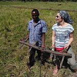 im Rahmen der Entdeckungstour Reis(e)-Erlebnisse Vormittag: Reise nach Mwea Besuch der Reisfelder einer lokalen Kooperative.