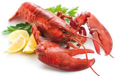 Hummergabeln set of 4 lobster forks service de 4 curettes à homard juego de 4 tenedores langosta confezione di 4