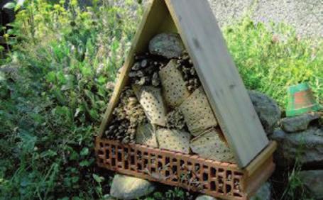 Kropf die umweltberatung Bienen lieben heimische Blumen, wilde Hecken, heimische