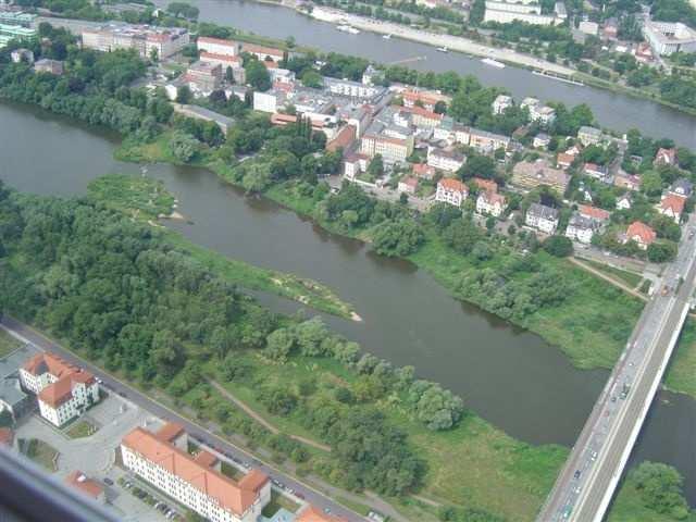 Szenario 3(S) Bewuchsentfernung Alte Elbe + Sedimentabtrag IST SZ 3(S) Bewuchssituation wie in