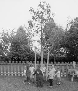 : 352 Im Sommer wurde im Pfarrgarten ein neuer Baum gepflanzt, der in Zukunft wieder Schatten für die spielenden Kinder spenden wird. Er wurde von der Fa. Thaler Thomas gesponsert.