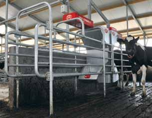 Lely Cosmix P noch mehr Kühe füttern Da die Kühe ihr Futter in einer geschützten Umgebung aufnehmen können, bietet die Lely Cosmix P die Möglichkeit, größere Portionen auszugeben oder schneller zu