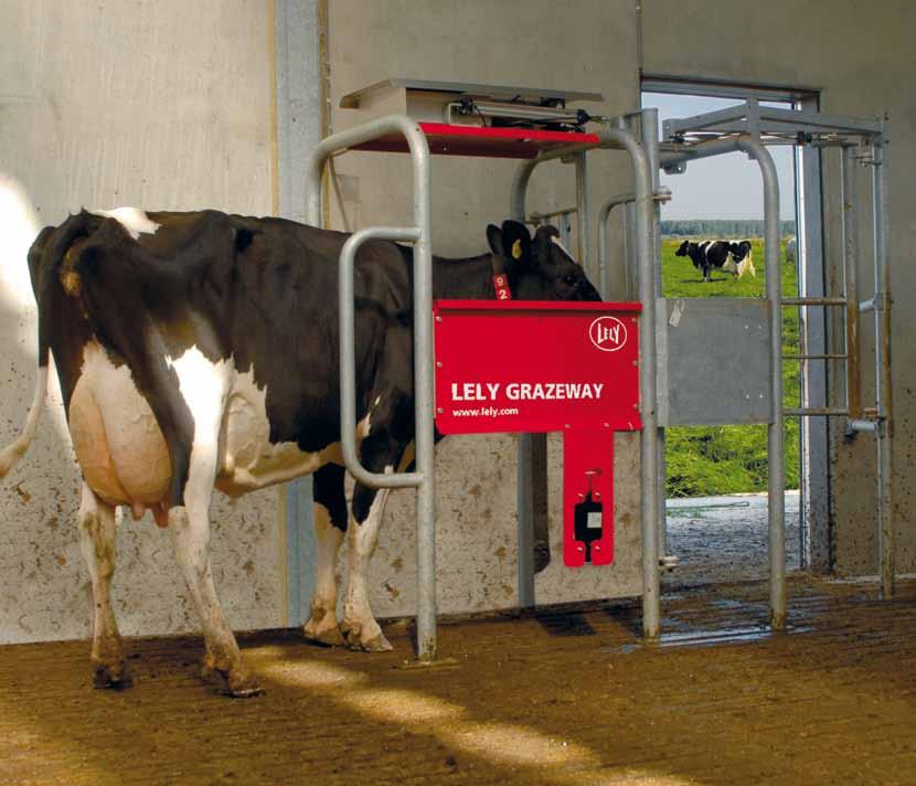 Lely Grazeway Selektionsbox bietet Ihren Kühen eine Wahl Weidehaltung und automatisches Melken gehen Hand in Hand.