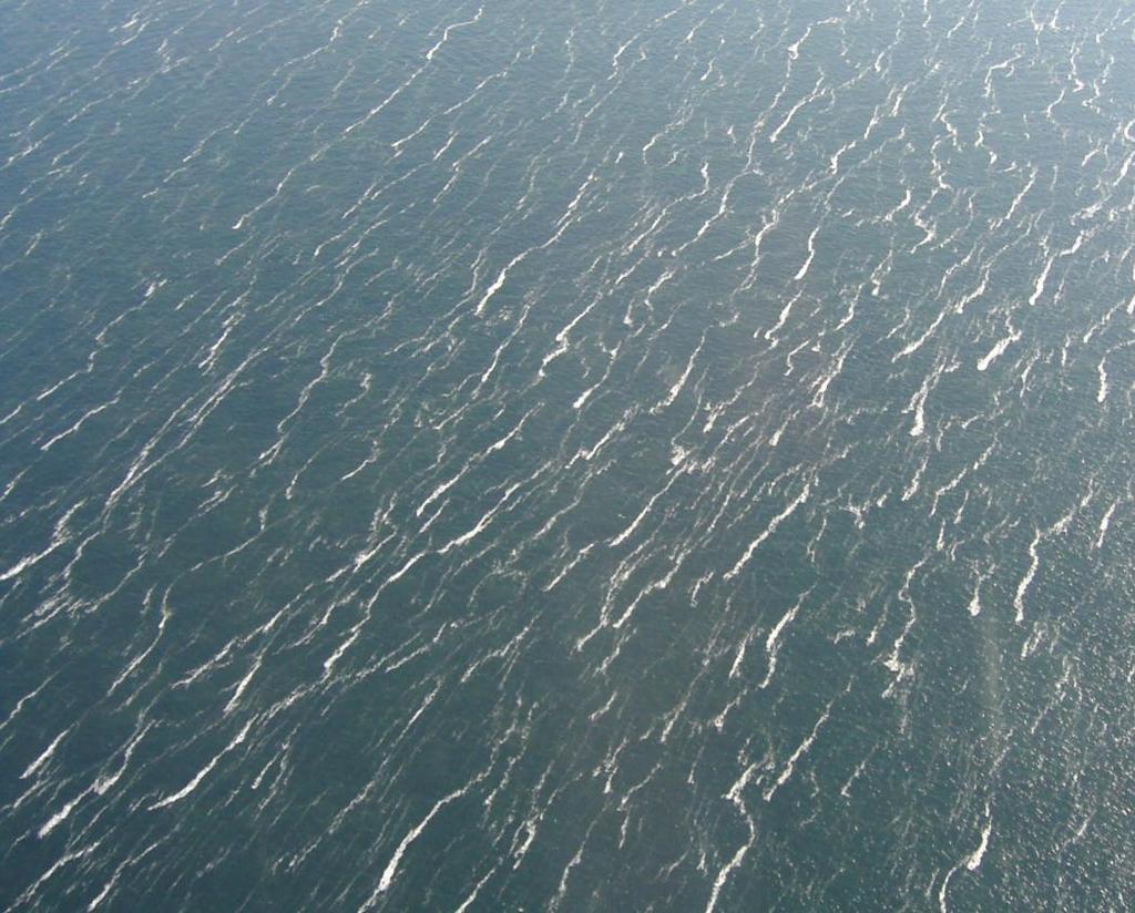FTZ Abb. 8: Wasseroberfläche vor den ostfriesischen Inseln am 06.05.2008. Die Schaumalgenblüte wurde durch Wind und Strömung in weiße Streifen zerrissen.