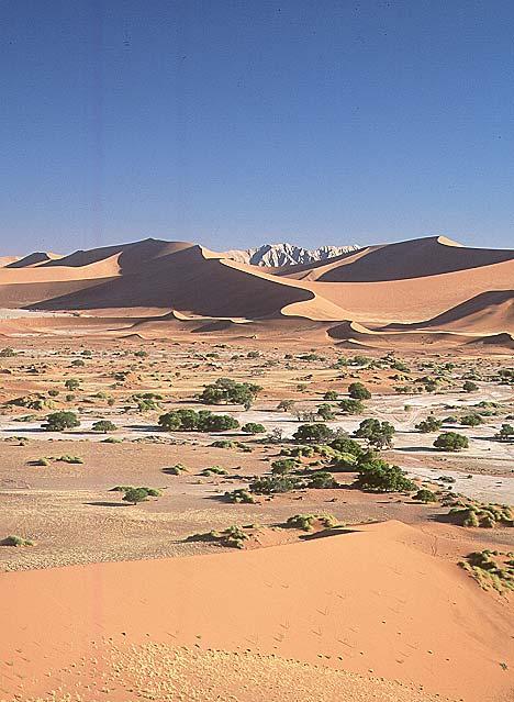 14.Tag: Namib Wüste F/M/A Zeltcamp Am Morgen fahren zunächst zur Düne 45. Hier bleibt das Fahrzeug stehen und wir besteigen die Düne. Spektakulär ist die Aussicht vom Dünenkamm.