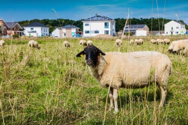 Herausforderungen im Verbandsgebiet: Deckung des Wohnbauflächenbedarfs Bereitstellen von Bauflächen für ca. 166.000 * neue Wohnungen im VG bis 2030 (*gem.