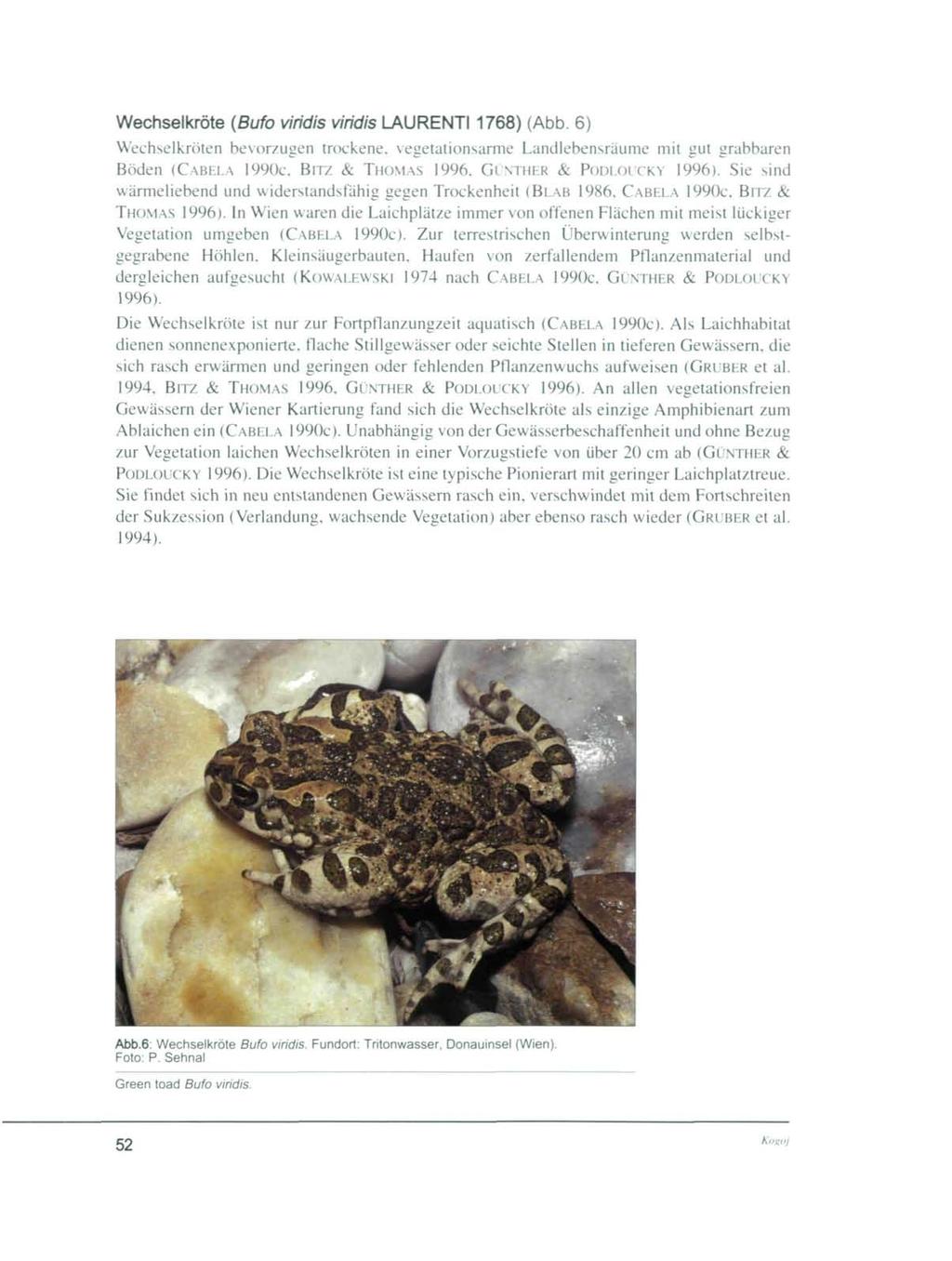 Wechselkröte (Bufo viridis viridis LAURENT11768) (Abb. 6) Wechselkröten bevorzugen trockene, vegetationsarme Landlebensräume mit gut grabbaren Böden (CABELA 1990C. BITZ & THOMAS 1996.