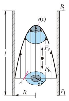 M1 Viskosität ( 1 ) ( R r ) v( r) = (10) η Eine stationäre laminare Strömung in einer Röhre besitzt also ein arabelförmiges Geschwindigkeitsrofil (Bild ).