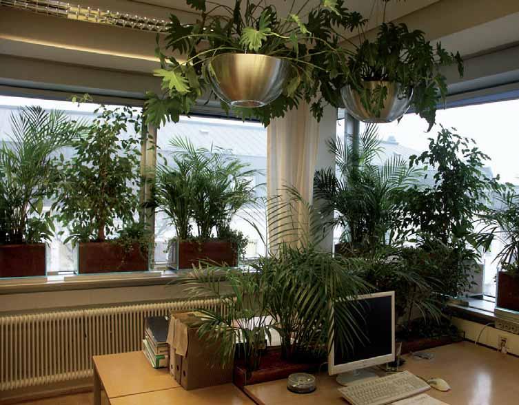 Kühlleistung der Pflanzen von Bedeutung. Pflanzen kühlen durch Transpiration. Über die Blattunterseiten wird Wasser verdunstet und Kühlenergie erzeugt.