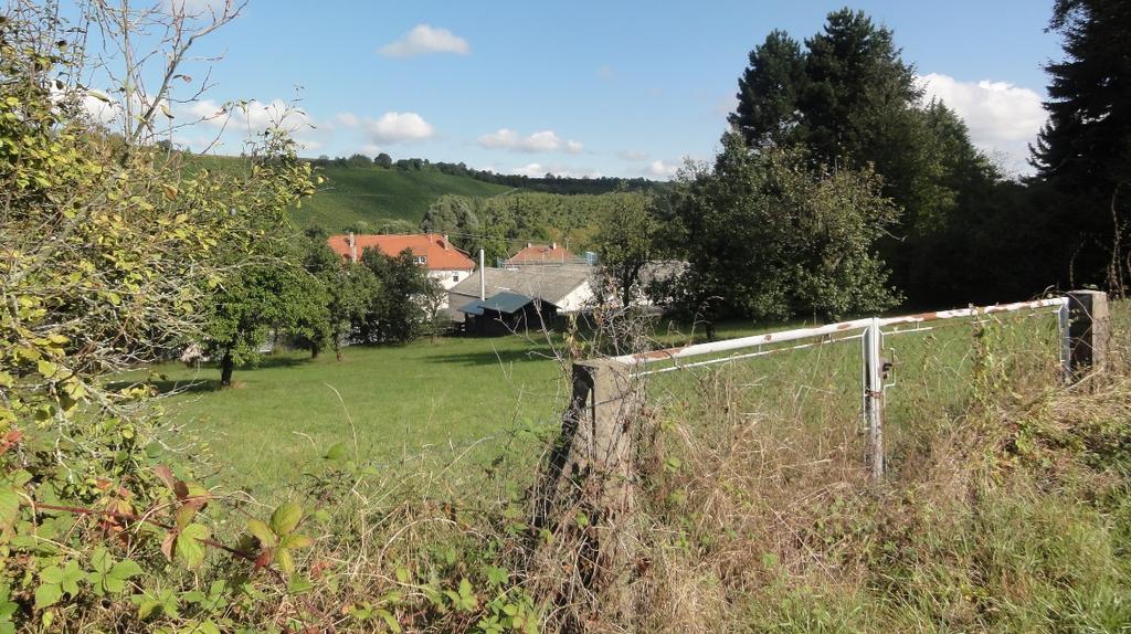 Beschreibung der örtlichen Situation Das Plangebiet Östlich Rosenstraße befindet sich am südöstlichen Ortsrand von Weiler-Pfaffenhofen an der Rosenstraße.