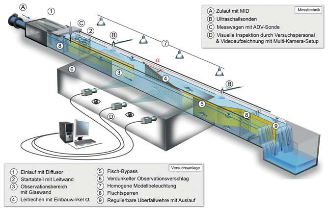 Bild 6. Prinzipskizze des ethohydraulischen Modells mit Bezeichnung der wichtigsten Modellkomponenten und Messinstrumente. dem Hintergrund der im Verhältnis zu ihrer Körpergrösse weiten Stababstände.