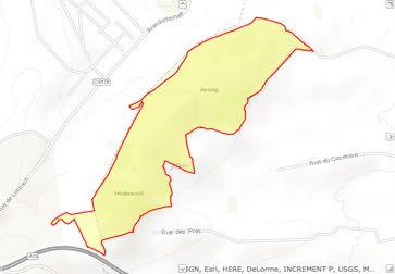 GessnerLandschaftsökologie 2.2.2 Massif2forestier2du2Aesing2(LU0001075)2 WPDifferdangeZwischenberichtzurFFHCVPFledermäuse 2.2.2.1 Abgrenzung2und2Lage2des2Schutzgebietes2 Abbildung2 3:2 Abgrenzung2 des2 Natura2 20002 Gebietes2 LU0001075.