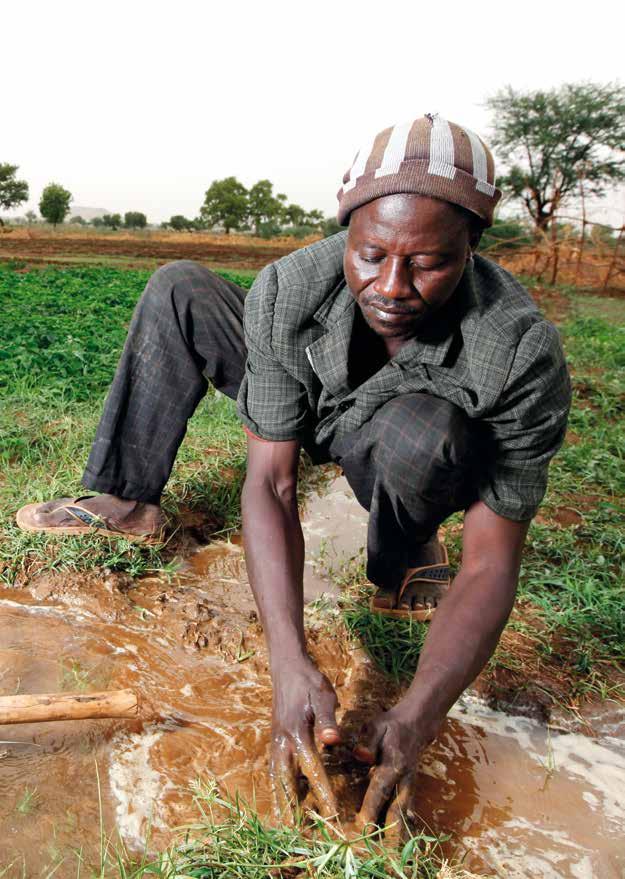 10 Bazaga, Niger Ibrahim Abdou ist Mitglied des Bewässerungsprojekts der örtlichen Bauernunion Verantwortung tragen. Nachhaltigkeit leben.