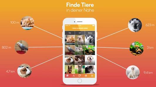 Bild 2: grinzoo, die neue App für Tierfreunde, hebt Tierbeziehungen und den Austausch unter