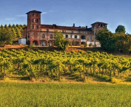 Barolo - Weingüter mit Weltruf produzieren hier exzellente Tropfen und laden zu einem Besuch ein. Weiter geht es gen Süden auf die rauere Alta Langa zu.