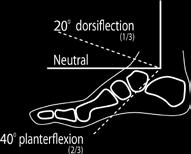 Wenn sich der Knöchel in einer neutralen Position befindet, beträgt der normale Fersenwinkel 40 Grad.