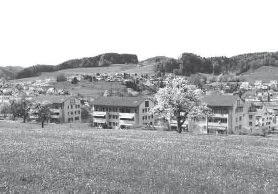 Institutionen familienfreundlich idyllisch ländlich günstig Baugenossenschaft Balterswil 2 bis 5 1 /2-Zimmer Mietwohnungen 071 971 46 83 www.bg-balterswil.