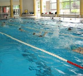 30 Uhr Silber/Gold Donnerstag 16.45-17.30 Uhr Schwimmtraining für Erwachsene im Hallenbad Werne Während der Sommermonate findet das Training im Freibad statt.