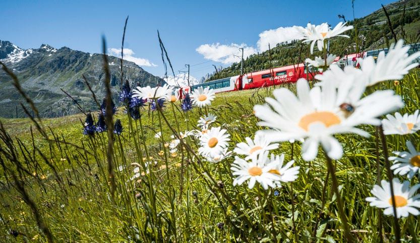 10 11 Glacier Express eine exklusive Reise Kulinarische Wochen Der langsamste Schnellzug der Welt Fahren Sie mit dem langsamsten Schnellzug der Welt von nach St.