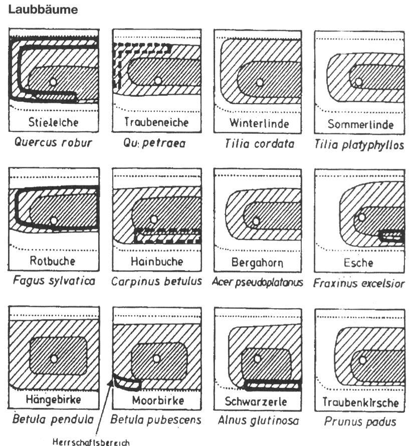 Quelle: Ellenberg (1986)