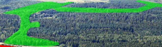 Nutzungsaufgabe von 20 ha Wirtschaftswald, dabei Entfernung