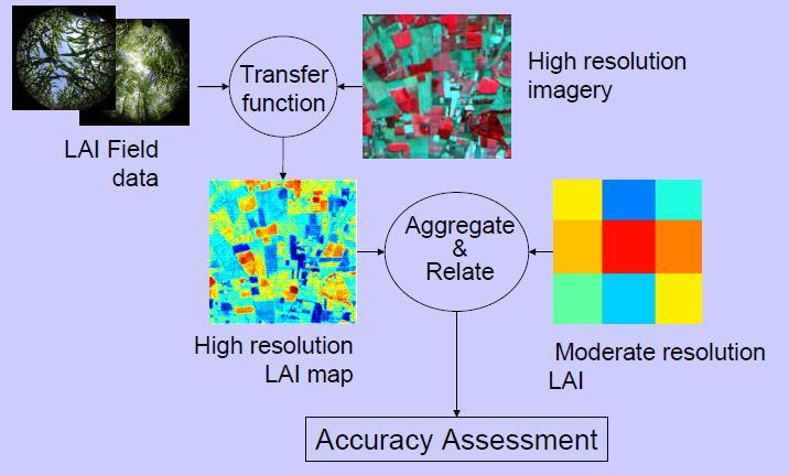Cartography, & Remote Sensing Section Validierungsansatz Landsat ETM Coarse resolution AVHRR
