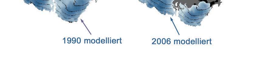 Die Dynamik des Gletschers wird allein anhand des groben Höhenstufenmodells zwar ausreichend detailliert für hydrologische Fragestellungen beschrieben, präzise Ergebnisse zur Flächenänderung eines